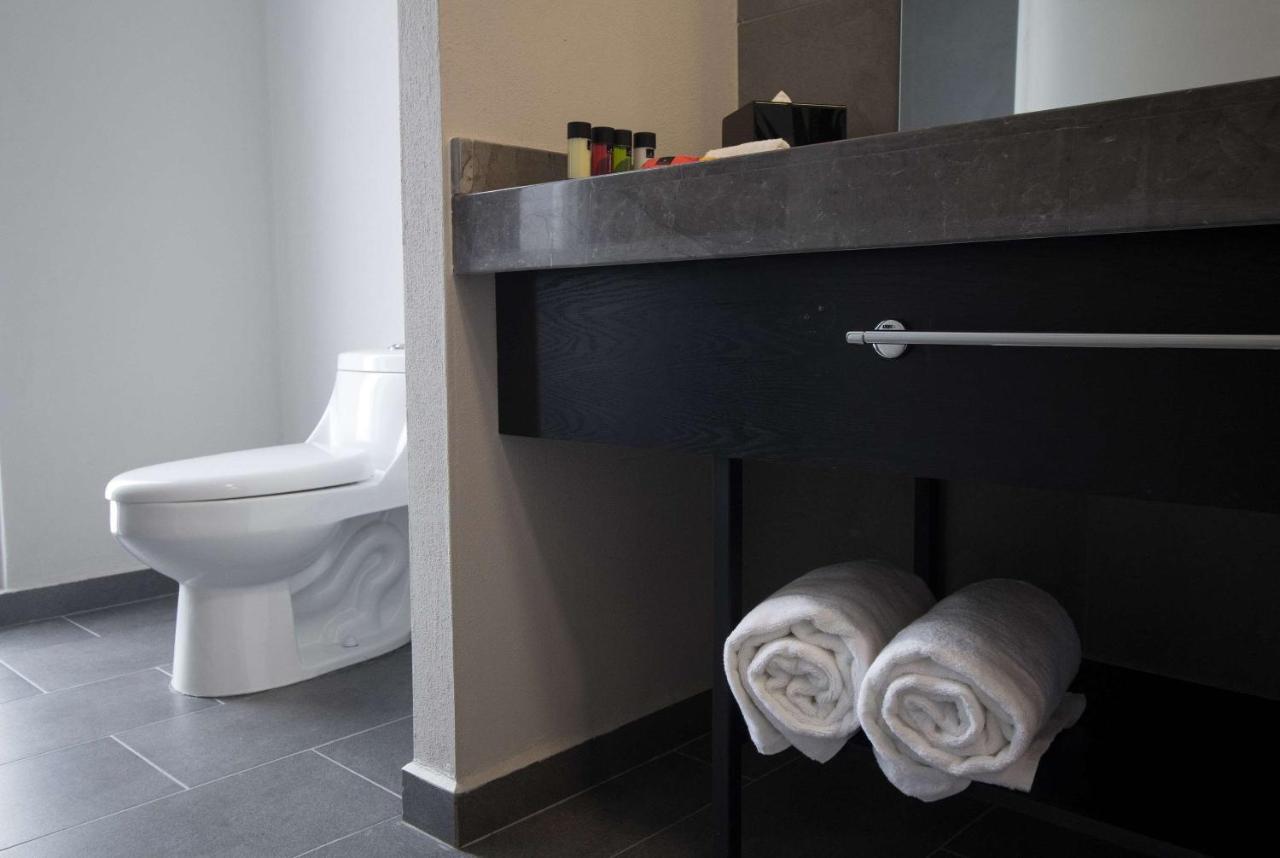 Tryp By Wyndham San Luis Potosi Hotel & Suites Exteriör bild